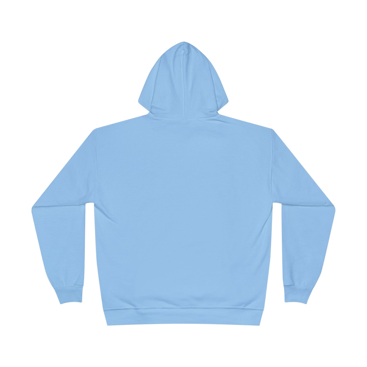 a back image of a light blue color hoodie